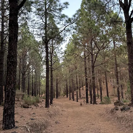 Masca, Teide, Gigantes, Excursions, Ac, Wifi-6 Apartment